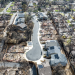 Altadena Disaster Relief Loan Program supports local businesses