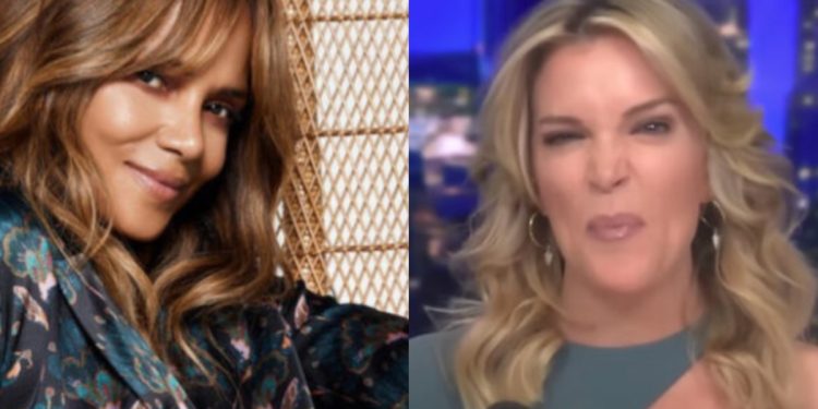 Megyn Kelly Slammed for Trying to Shame Halle Berry’s Steamy Post with Her Man