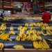 HBCU News – Lawsuit challenges USDA demand for food stamp data as some states prepare to comply