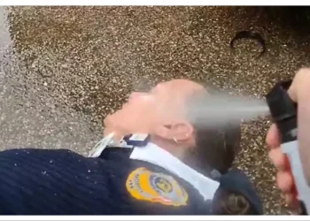 Video Shows Colorado Cop Pepper-Spraying Handcuffed Woman Who Wasn’t Driving After She Asked for Female Officer to Frisk Her During DUI Arrest
