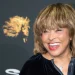Tina Turner Wig Gets Removed from Her Site as Backlash Erupts Online