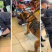 South Carolina Officer On Leave After Bystander Video Shows Several Cops Piling On Black Boy, Aggressively Arresting Him for Selling Roses In Circle K