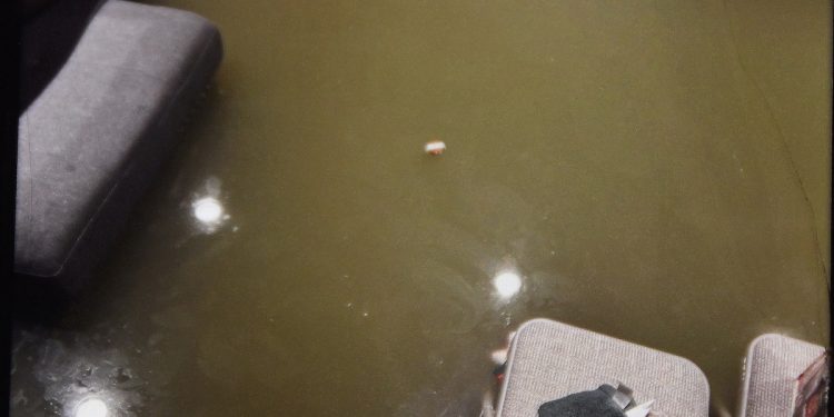 Prepare for Floods: Tips to Save Lives and Property