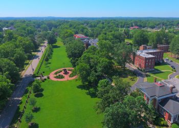 Strains Georgia Pie: Cultivation Insights and Campus Conversations