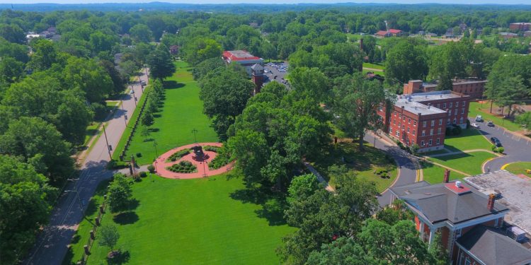 Strains Georgia Pie: Cultivation Insights and Campus Conversations