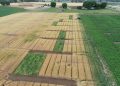 HBCU News – Kentucky State Researchers Publish Four Studies on Soil Health, Crop Nutrition, and Cancer Prevention