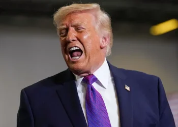 Trump Brags About His Intelligence, Spirals Into Obama Insult— Then an Unexpected Twist Publicly Destroys Him