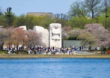 Climate change alters cherry blossom bloom patterns