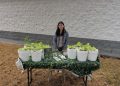 Stella Hong tackles food insecurity with HydroHarvest