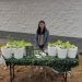 Stella Hong tackles food insecurity with HydroHarvest
