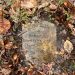 Initiative Preserves the Stories of Black Boys Who Died in State Custody